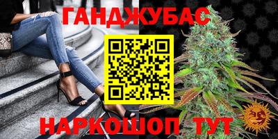 индика Нальчик