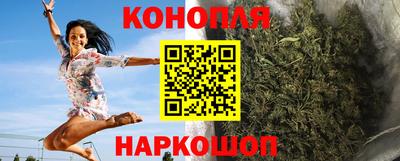 индика Нальчик