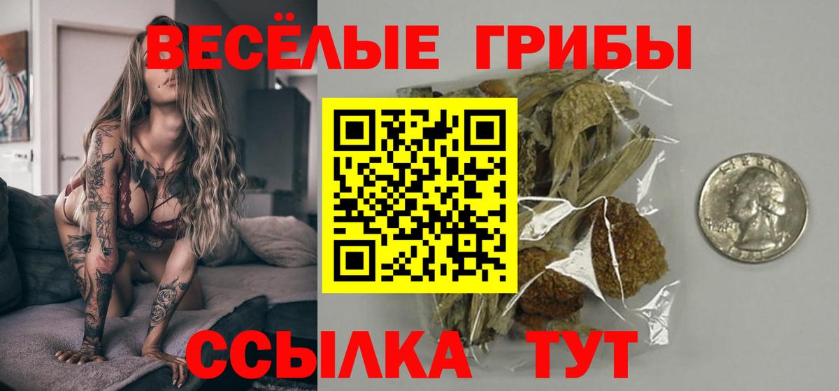 Тамбов  Псилоцибиновые грибы Magic Shrooms  Вход с VPN 