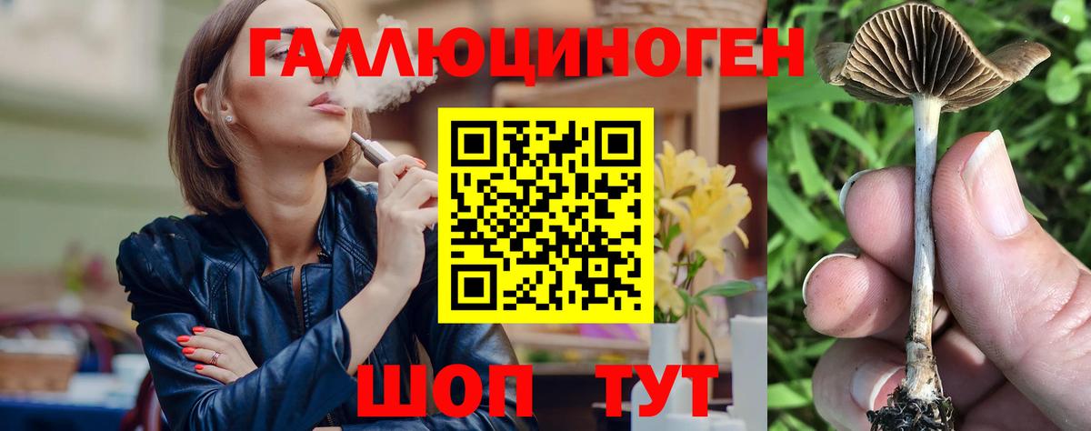Галлюциногенные грибы MAGIC MUSHROOMS Тамбов
