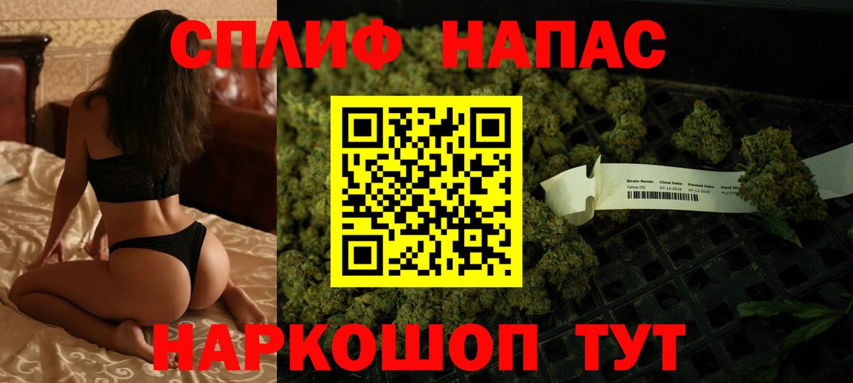Канабис гибрид Тамбов