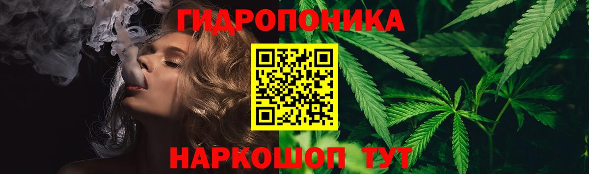 Шишки марихуана White Widow  Марихуана сатива  Тамбов  Марихуана SATIVA & INDICA  Вход с VPN 